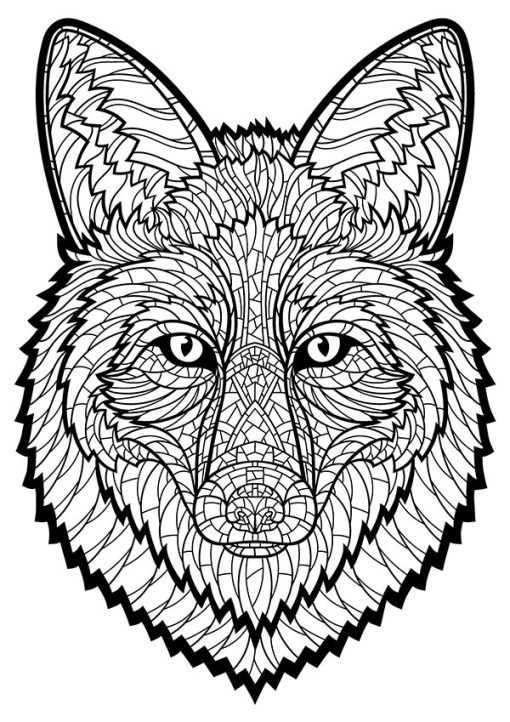 کتاب رنگ آمیزی بزرگسالان روباه و سگ شکاری - الماس دانلود